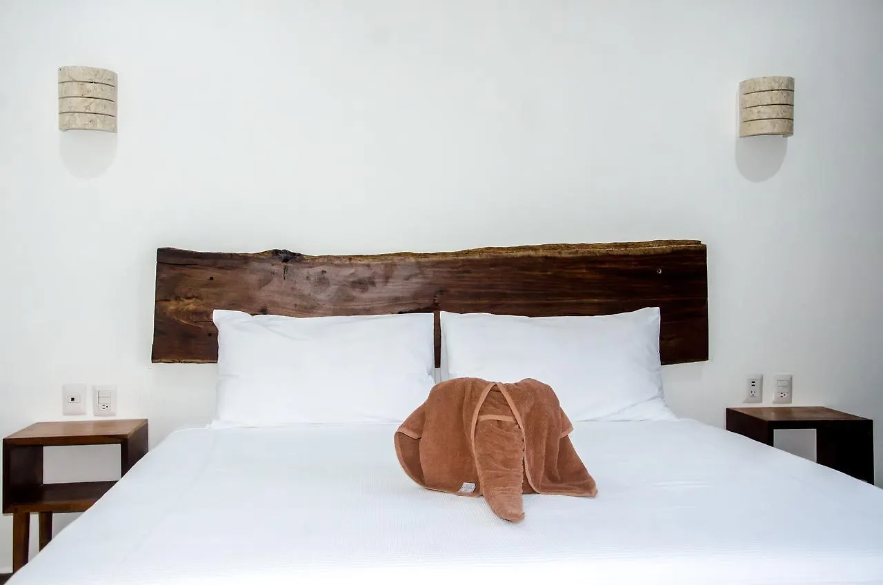 Suite Casa Tortuga Τουλούμ 0*,  Μεξικό
